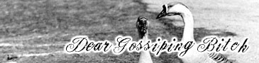 Dear Gossiping Bitch